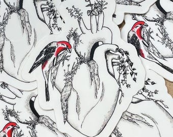 Sticker coeur anatomique : art cardiaque floral, cadeau infirmière/cardiologue