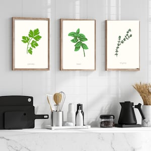 Herbs Bundle | 5 Herbs Digital Print | Lavender, Rosemary, Thyme, Basil, Parsley, Tarragon | Kitchen Wall Art, Botanical Art Print Download