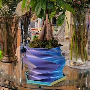 May include: A green leafy plant with a thick brown trunk in a blue and purple iridescent planter with a light blue and green base. The plant is surrounded by white flowers in glass vases.