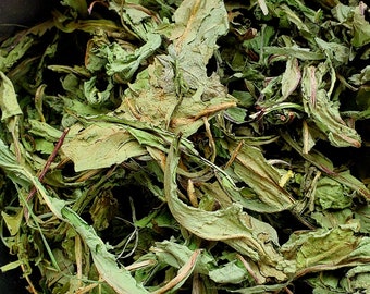 Dandelion Leaf (Taraxacum officinale), dried 1 oz, Ethically Wild-Harvested
