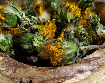 Dandelion Flower (Taraxacum officinale), dried, Ethically Wild-Harvested