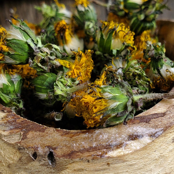 Dandelion Flower (Taraxacum officinale), dried, Ethically Wild-Harvested