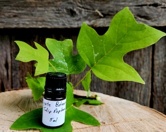 Tulip Poplar (Liriodendron tulipifera) Essential Oil, Sustainably Wild-harvested, Small-batch, Artisan-distilled