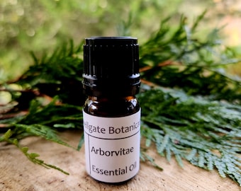 Arborvitae (thuja occidentalis) Essential Oil, Adirondack