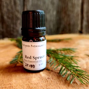 May include: A small glass bottle of Red Spruce Pure Essential Oil with a black cap. The label reads "Hellgate Botanicals" and "5 ml". A sprig of green spruce needles is in the foreground, with a wooden background.
