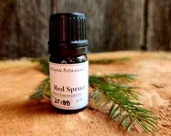Red Spruce (Picea rubens) Essential Oil, Wild-Foraged and Small Batch Distilled