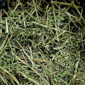 May include: A close-up of a bowl filled with dried green grass and leaves. The grass is chopped into small pieces and appears to be a type of hay.