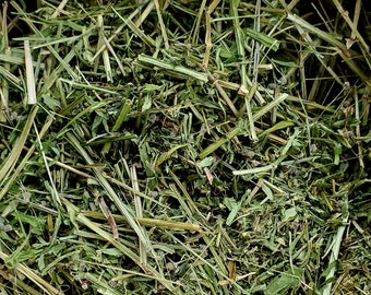 Cleavers (Galium aparine), dried 14g, Sustainably Wild-Harvested