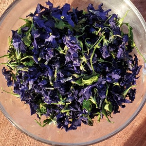 Dried Wild Sustainably Harvested Vinca Minor Flowers Periwinkle