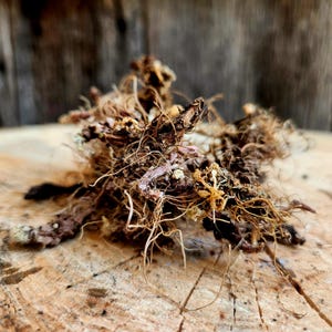May include: Close-up of a cluster of dried, brown roots with a few light brown and white spots. The roots are on a light brown wooden surface.