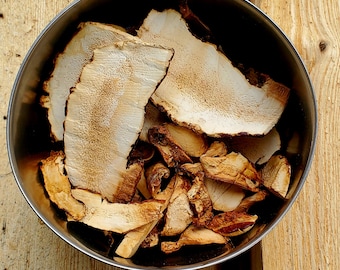 Hemlock Reishi (Ganoderma tsugae), dried and sliced, Ethically Wild-Foraged