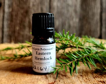 Eastern Hemlock (tsuga canadensis)  Essential Oil, Sustainably Wild Harvested, Small Batch Artisan Distilled