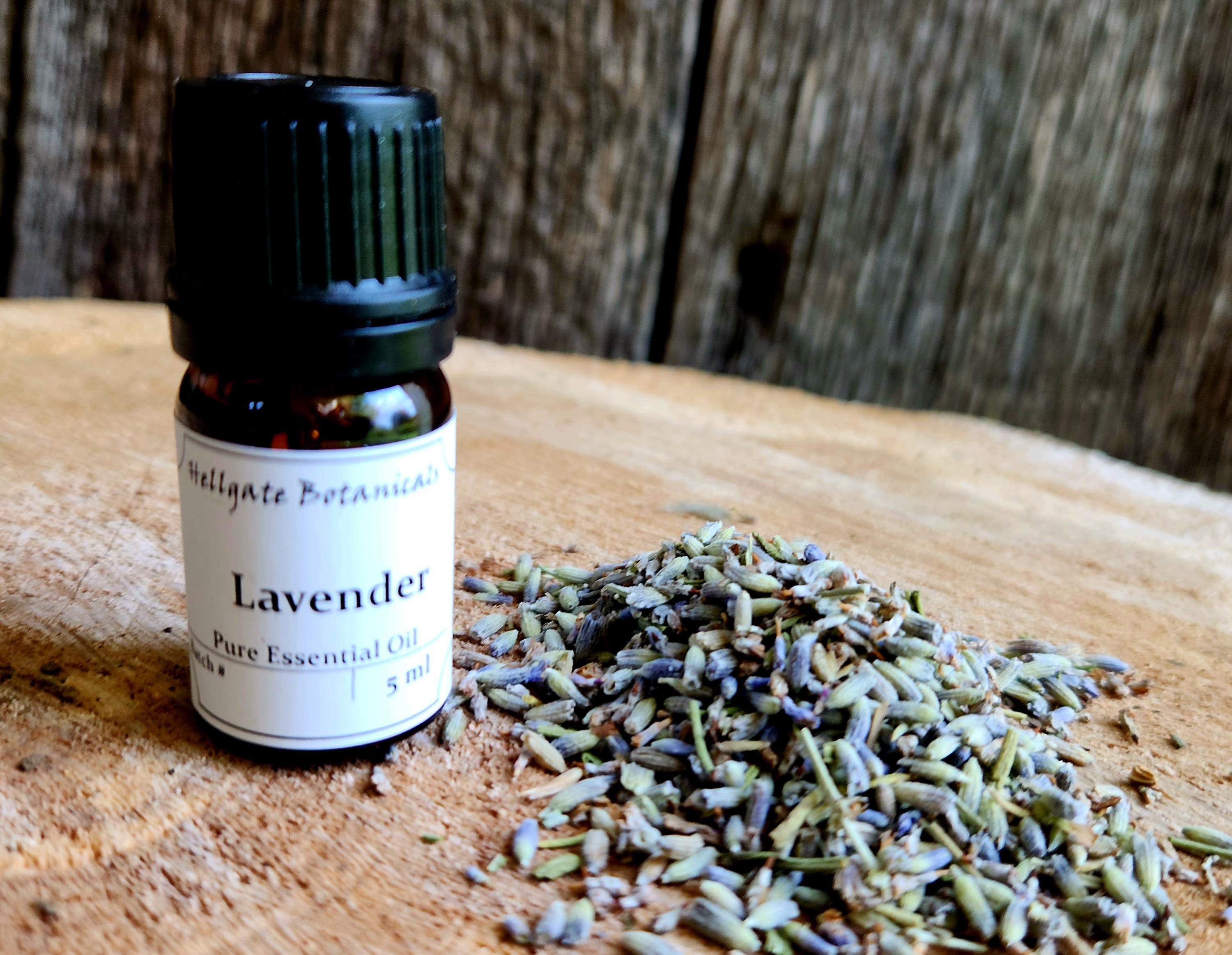 French Lavender (lavandula Dentata) Essential Oil - Etsy