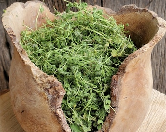 Ivy Leaf Speedwell (veronica hederifolia) Wild Foraged, dried 1 oz.