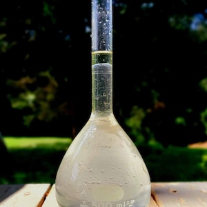 Wild-Crafted Wild Carrot (daucus carota) Hydrosol