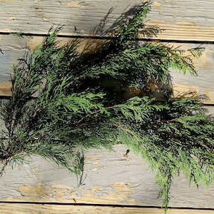 May include: A bunch of green cedar branches on a weathered wooden surface.