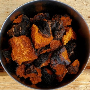 Chaga Chunks (Inonotus obliquus), 8 oz dried, Sustainably Harvested from the Adirondacks