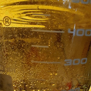 Wild-Crafted Eastern White Pine (Pinus Strobus) Hydrosol,Ethically Wild-Harvested