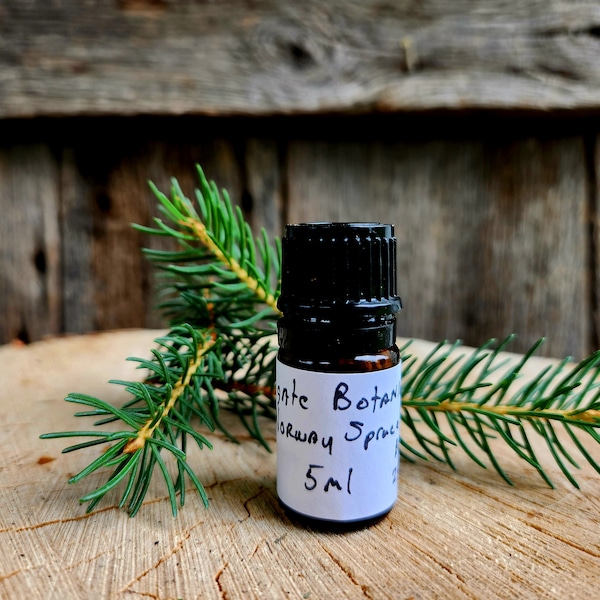 Norway Spruce (Picea Abies) Essential Oil, 5 ml, Sustainably Wild-harvested, Small-batch, Artisan-distilled