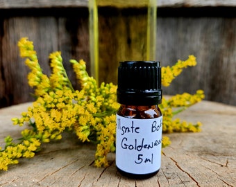 Goldenrod (solidago canadensis) Essential Oil, Ethically Wild Harvested, Small Batch Artisan Distilled, 5ml