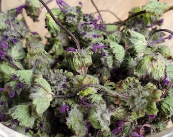 Wild-Harvested Henbit Dead Nettle (Lamium amplexicaule), dried 10 grams