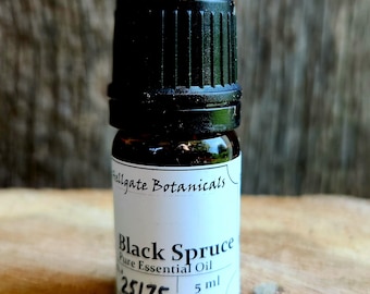 Adirondack Black Spruce (picea mariana) Essential Oil, Wild-Foraged and Small Batch Distilled