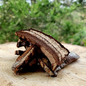 May include: Close-up of a pile of dried, brown mushrooms with a layered, striated texture. The mushrooms are arranged on a light brown wooden surface.