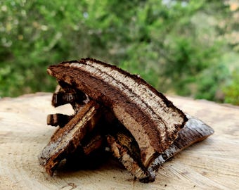 Artist Conk (ganoderma applanatum), dried sliced  2 oz Adirondack
