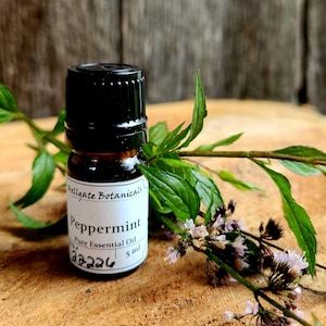 Peppermint (mentha × piperita) Essential Oil, Small Batch Artisan Distilled