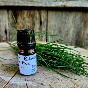 May include: A small brown glass bottle with a black cap and a white label that reads "Botanical Pine" and "Batch 223". The bottle is sitting on a wooden surface with green pine needles in the background.