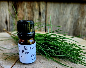 Wild Eastern White Pine (Pinus strobus) Wild-Crafted Essential Oil