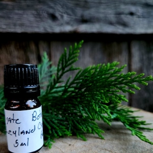 Leyland Cypress (cupressocyparis leylandii) Essential Oil, 5 ml, Small-batch, Artisan-distilled