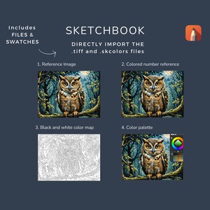 May include: A digital painting kit featuring a detailed image of an owl in a forest setting. The kit includes a reference image, a coloured number reference, a black and white colour map, and a colour palette.