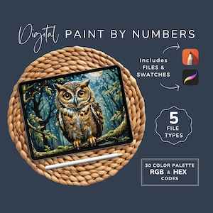 May include: Digital paint by numbers image of an owl in a woodland setting. The image is displayed on a tablet computer and includes 5 file types, 30 colour palettes, and RGB & HEX codes.