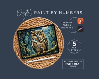 Paint By Numbers Bird, Owl Canvas, PDF Coloring Pages, DIY Digital Art Kit, Procreate, Sketchbook, 30 Color Palette,  Instant Download, WP06
