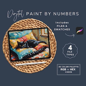 May include: Digital paint by numbers kit featuring a black cat resting on colorful pillows. The image is displayed on a tablet, with a stylus. Includes files, swatches, and 4 file types. 30 color palette with RGB & HEX codes.