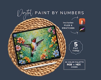 Paint By Numbers Adult Bird, Hummingbird CBN Artwork, Procreate, DIY Digital Art Kit, Downloadable PDF, 30 Colors, Instant Download WP38