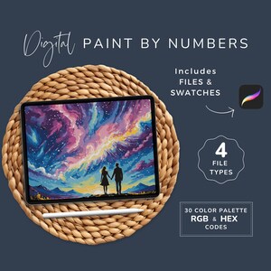May include: Digital paint by numbers image on a tablet featuring a starry night sky with two silhouettes of people in the foreground. The image includes 4 file types and 30 colour palette RGB and HEX codes.