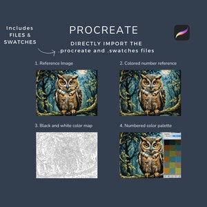 May include: A digital illustration of an owl in a snowy forest. The image is divided into four sections: a reference image, a coloured number reference, a black and white colour map, and a numbered colour palette. The image is designed for use with the Procreate app.