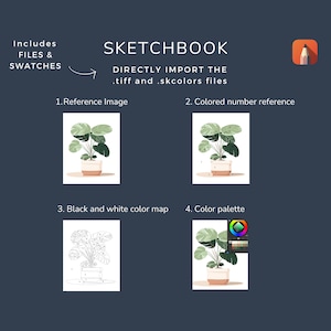 May include: A digital sketchbook illustration of a potted plant with green leaves. The illustration includes a reference image, a color-coded number reference, a black and white color map, and a color palette.