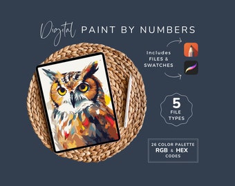 Owl Paint By Number, DIY Digital Art Kit, Pop Art Style, Procreate, Sketchbook, 26 Color Palette, 300 DPI, Instant Download, AN07