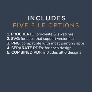 May include: Dark blue background with white and gold text. The text reads "INCLUDES FIVE FILE OPTIONS" followed by a numbered list: Procreate, SVG, PNG, Separate PDFs, and Combined PDF.