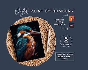 Paint By Numbers Kit Bird, DIY Digital Art, Kingfisher, Pop Art Style, Procreate, Sketchbook, 30 Colors, 300 DPI, Instant Download, AN04