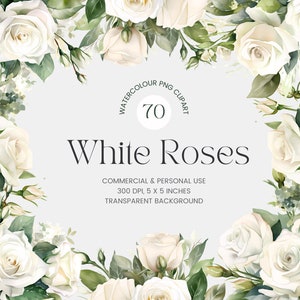 70 Weiße Rose Blumen Clipart - Aquarell Rosen - Rosen Clipart - Weiße Rosen Bouquet - Blumen Clipart - Vorgefertigte Clipart - Hochzeit Clipart