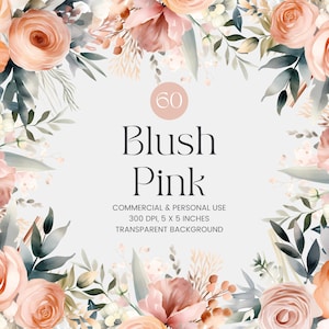 60 Blush Pink Flowers PNG, Watercolor Floral Clipart Bouquets, Elements, Premade Clipart, Commercial Use, Digital Clipart PNG - Flowers