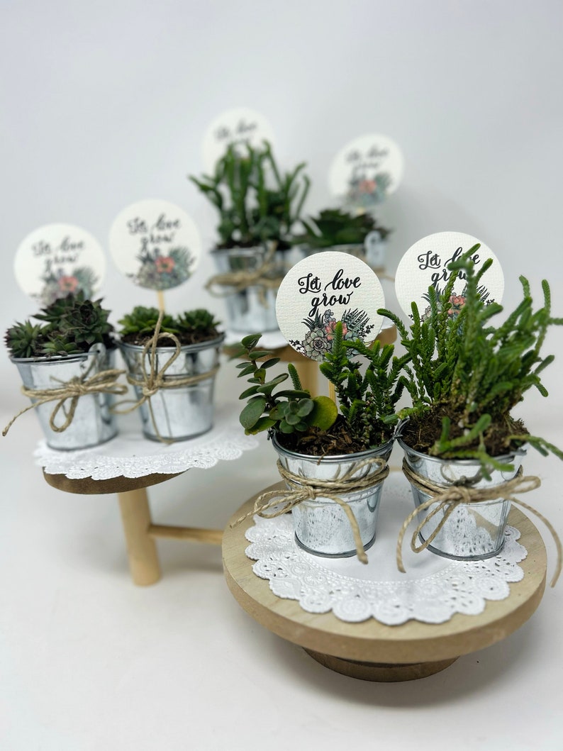 Succulent Metal Pail Bridal Shower Favor Mini Galvanized Bucket