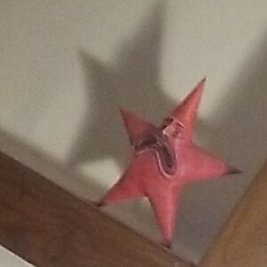 Puede incluir: Una estrella roja de cinco puntas con una cara de dibujos animados, parece estar gritando. La estrella est&aacute; hecha de papel o cart&oacute;n y est&aacute; sobre una superficie de madera.