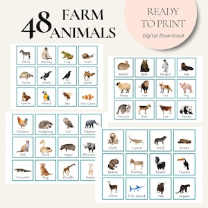 48 Farm Animals Cards, Montessori flash cards, Educational Printable Cards, FlashCards PDF Printable Cards preschool Flashcard, toddler card