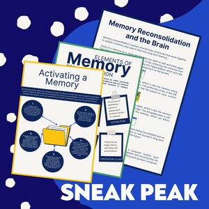 May include: A colorful infographic explaining the process of memory reconsolidation and activation. The infographic uses a computer file analogy to explain how memories are stored and retrieved in the brain. The infographic also includes a diagram of the brain and its different parts.