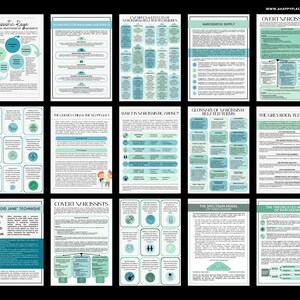 Termini sul narcisismo, tipi, tecniche, foglietti illustrativi, diario grandioso, bundle di carte, recupero da abusi narcisistici, gaslighting, disturbo da stress post-traumatico complesso, disturbo di personalità multifattoriale, bomba d'amore immagine 6